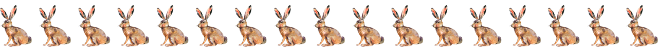 A hare sitting